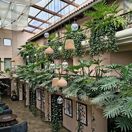 Casa Del Alma Hotel Boutique & Spa-3
